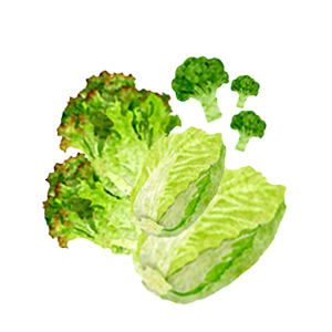 野菜