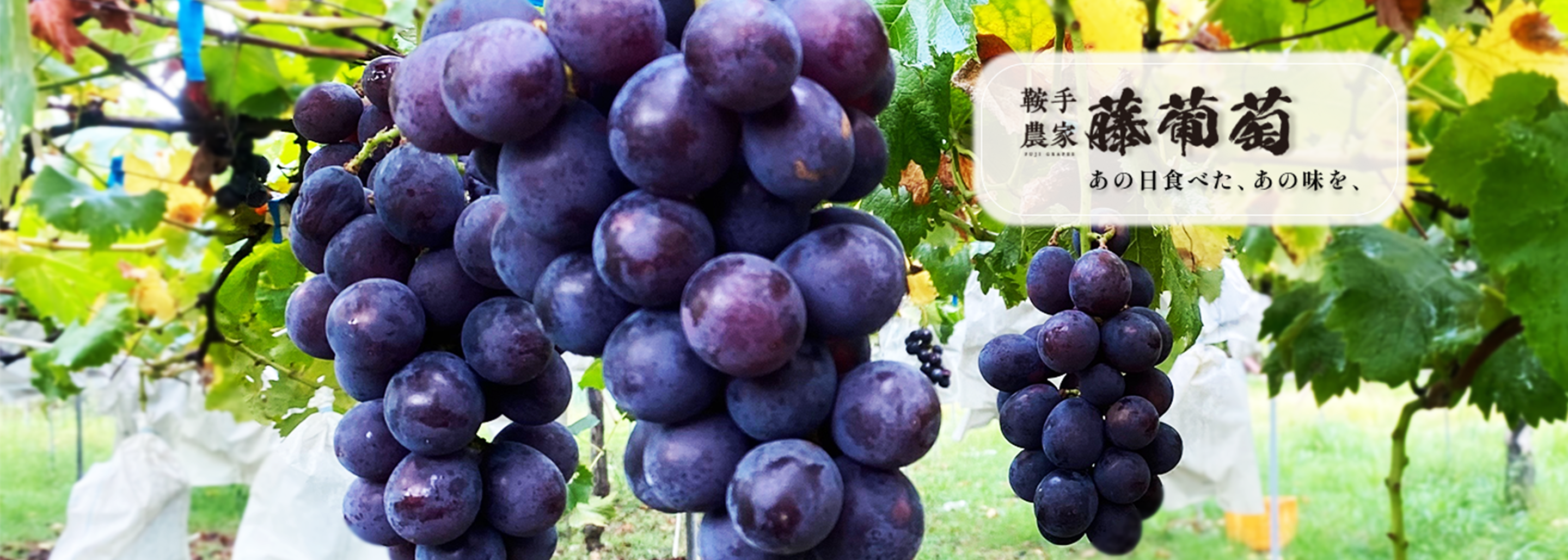 あの日食べた、あの味を、